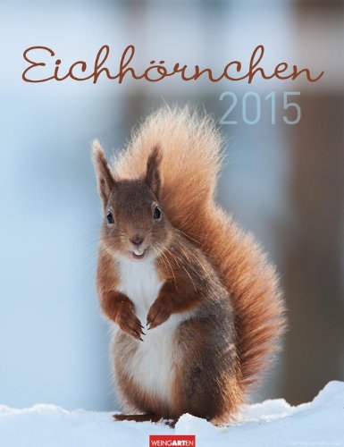 9783840063091: Eichhrnchen 2015