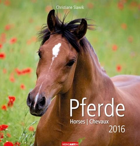 9783840064883: Pferde 2016