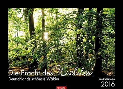 Die Pracht des Waldes 2016 - Bartocha, Sandra