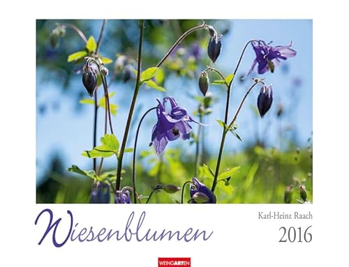 9783840066450: Wiesenblumen 2016