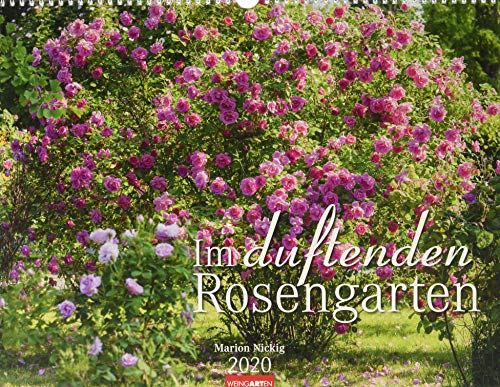 Imagen de archivo de Im duftenden Rosengarten. Wandkalender 2020. Monatskalendarium. Spiralbindung. Format 44 x 34 cm a la venta por medimops