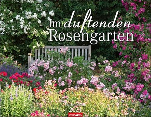 Stock image for Im duftenden Rosengarten Kalender 2021 for sale by medimops