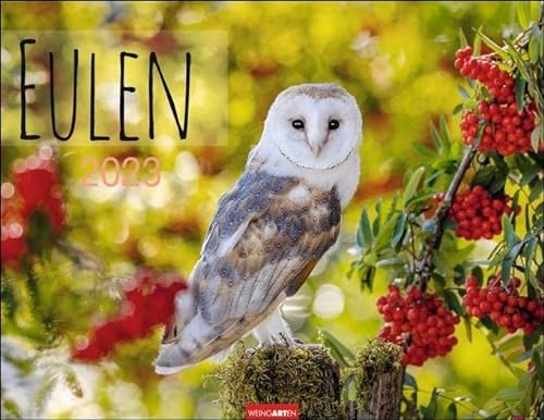 Stock image for Eulen Kalender 2023 for sale by medimops
