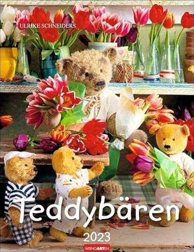 Beispielbild fr Teddybren Kalender 2023 zum Verkauf von medimops