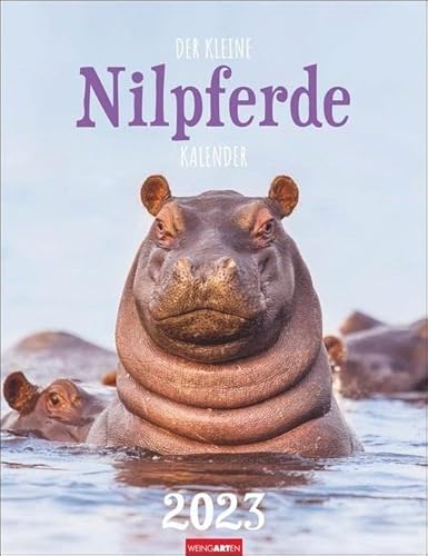Beispielbild fr Der kleine Nilpferde-Kalender Kalender 2023 zum Verkauf von medimops