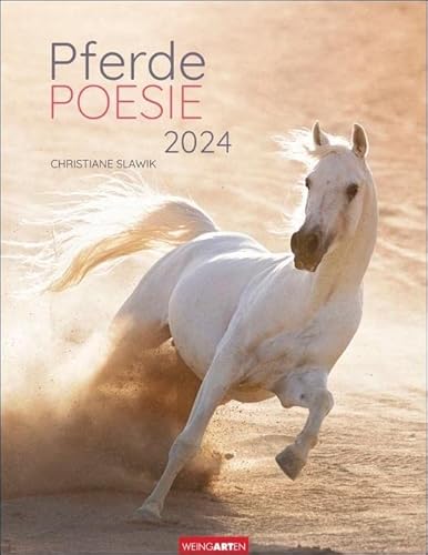 Stock image for Pferdepoesie Kalender 2024 for sale by medimops