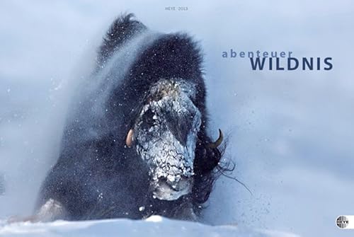 9783840113314: Abenteuer Wildnis 2013 / Wildlife Adventures