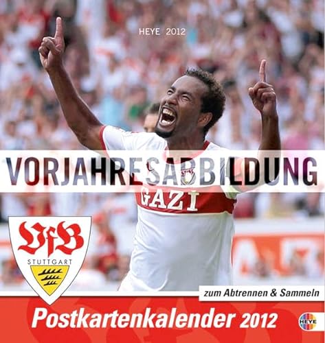 9783840116810: VfB Stuttgart 2013. Sammelkarten Postkartenkalender