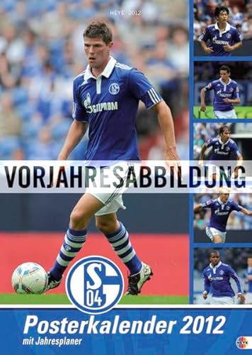 Schalke 04 Posterkalender 2013 (9783840119316) by Unknown Author