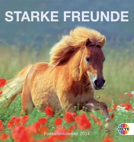 9783840121302: Pferde - Starke Freunde 2014. Postkartenkalender