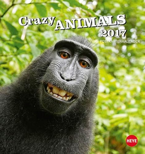 9783840145414: Crazy Animals 2017 Postkartenkalender
