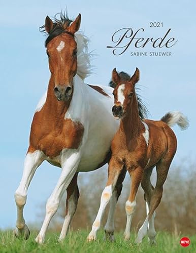 Beispielbild fr Pferde Classics Kalender 2021 zum Verkauf von medimops