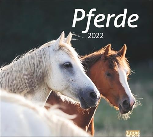 Beispielbild fr Pferde Bildkalender 2022 - times&more Tier-Kalender - Wandkalender mit Monatskalendarium - 30 x 27 cm zum Verkauf von medimops
