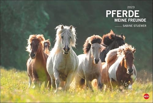 Beispielbild fr Pferde Meine Freunde Kalender 2023 zum Verkauf von medimops