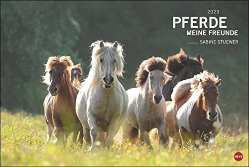 Stock image for Pferde Meine Freunde Kalender 2023 for sale by medimops