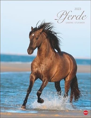 Stock image for Pferde Classics Posterkalender 2023 for sale by medimops