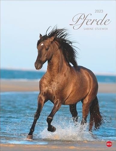 9783840189999: Pferde Classics Posterkalender 2023