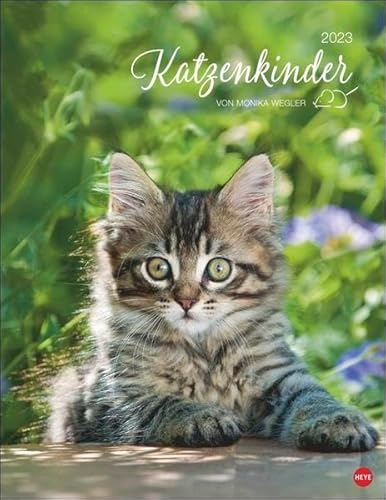 Beispielbild fr Katzenkinder Posterkalender 2023 von Monika Wegler - niedlicher Tier-Wandkalender mit vielen Fotos und lustigen Mini-Geschichten - mit Monatskalendarium - 34 x 44 cm zum Verkauf von medimops