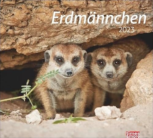 Beispielbild fr Erdmnnchen Bildkalender 2023 - times&more Tier-Kalender - Wandkalender mit Monatskalendarium - 30 x 27 cm zum Verkauf von medimops