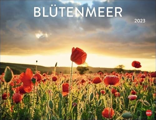 Beispielbild fr Bltenmeer Posterkalender 2023 zum Verkauf von medimops