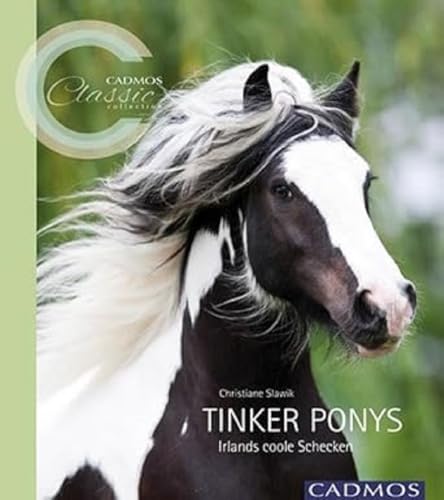 Stock image for Tinker Ponys: Irlands coole Schecken (Cadmos Classic Collection) for sale by medimops