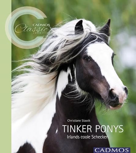 9783840400247: Tinker Ponys: Irlands coole Schecken