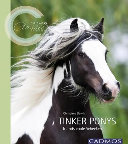 9783840400261: Tinker Ponys: Irlands coole Schecken