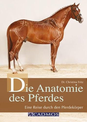 Die Anatomie des Pferdes: Eine Reise durch den Pferdekörper - Christina Fritz