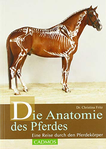 Stock image for Die Anatomie des Pferdes: Eine Reise durch den Pferdekrper for sale by medimops