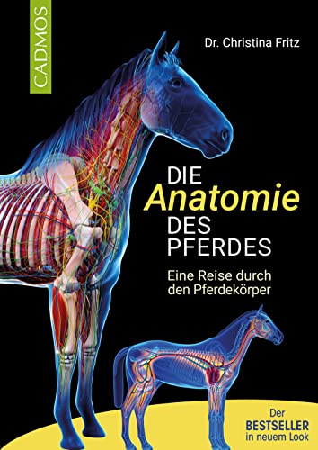 Stock image for Die Anatomie des Pferdes for sale by GreatBookPrices