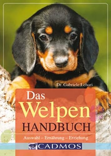 Stock image for Das Welpen-Handbuch: Auswahl - Ernhrung - Erziehung for sale by Ammareal