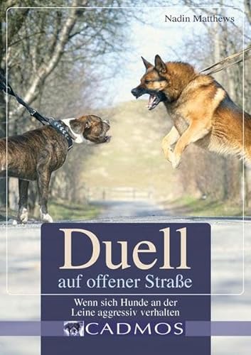 Duell auf offener Straße - Wenn sich Hunde an der Leine aggressiv verhalten