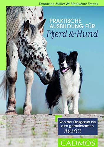 Beispielbild fr Praktische Ausbildung fr Pferd & Hund: Von der Stallgasse bis zum gemeinsamen Ausritt zum Verkauf von medimops