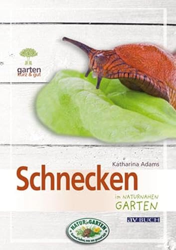 Imagen de archivo de Schnecken im naturnahen Garten a la venta por medimops