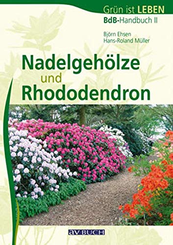 9783840482045: Nadelgehöze und Rhododendron: BdB-Handbuch II