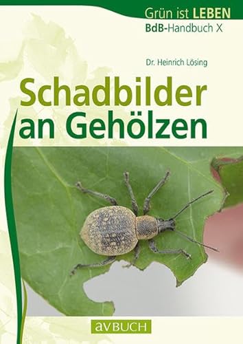 9783840482069: Schadbilder an Gehlzen: BdB-Handbuch X