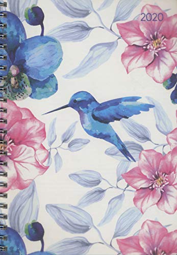 Beispielbild fr Ladytimer Ringbuch Hummingbird 2020 - Taschenplaner - Taschenkalender A5 - Schlerkalender - Weekly - Ringbindung - 128 Seiten - Terminplaner zum Verkauf von medimops