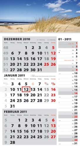 9783840729560: 3-Monatskalender Kombi 2012 grau-wei 3-Monatsplaner 2012