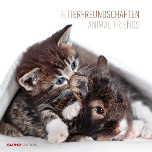 9783840731105: Tierfreundschaften, Broschrenkalender 2013