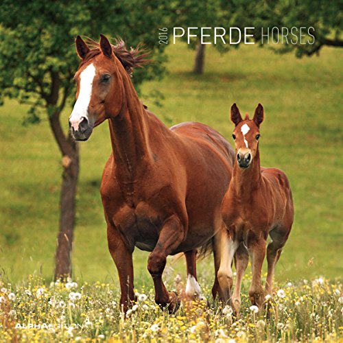 9783840761065: Horses. Calendario 2016