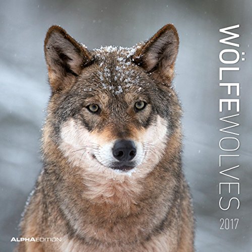 9783840771088: Calendario da muro 30x30cm wolves 2017