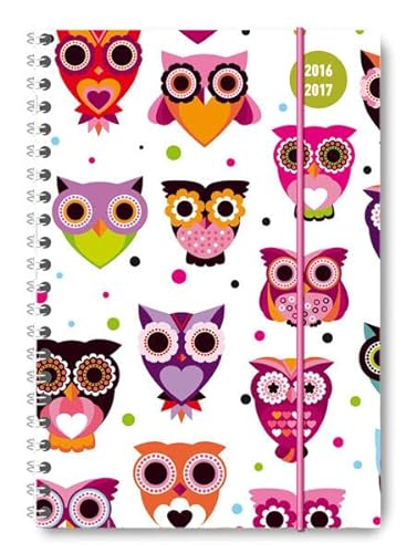 Collegetimer Owls 2016/2017 - Schülerkalender A5 - Weekly - Ringbindung - 224 Seiten - ALPHA EDITION