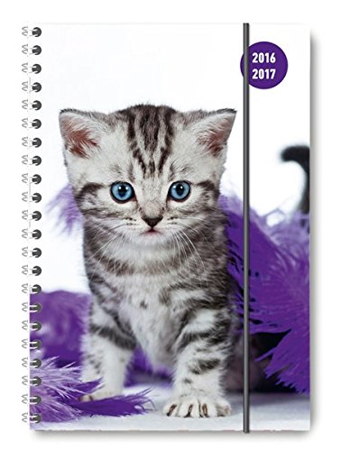 Collegetimer A5 Cat 2016/2017 - Ringbuch - 1 Woche 2 Seiten