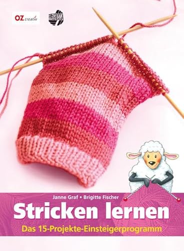 9783841060617: Stricken lernen: Das 15-Projekte-Einsteiger-Programm
