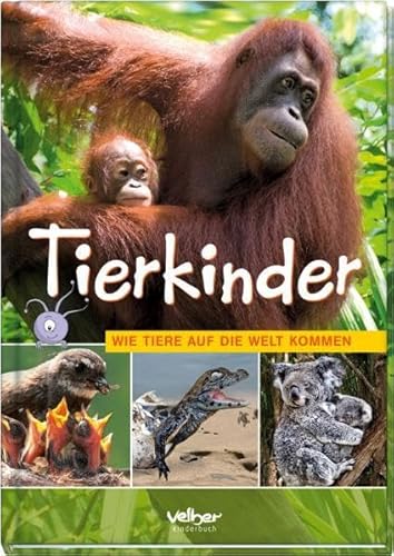 Beispielbild fr Tierkinder zum Verkauf von wortart-buchversand