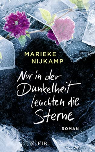 Stock image for Nur in der Dunkelheit leuchten die Sterne: Roman for sale by medimops