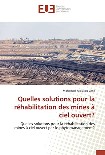 Stock image for Quelles solutions pour la rehabilitation des mines a ciel ouvert? for sale by Chiron Media