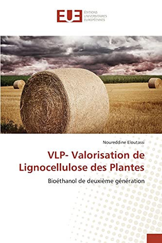 Stock image for VLP- Valorisation de Lignocellulose des Plantes for sale by Chiron Media