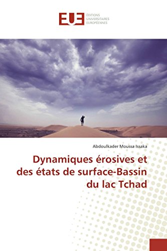 Imagen de archivo de Dynamiques rosives et des tats de surface-Bassin du lac Tchad a la venta por Buchpark