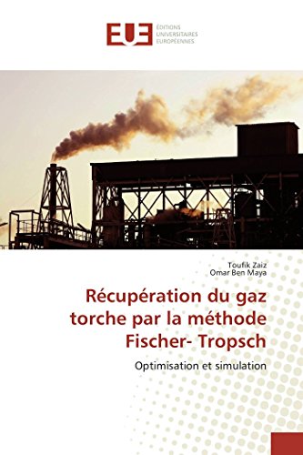 Stock image for Rcupration du gaz torche par la mthode Fischer- Tropsch: Optimisation et simulation (Omn.Univ.Europ.) (French Edition) for sale by Lucky's Textbooks